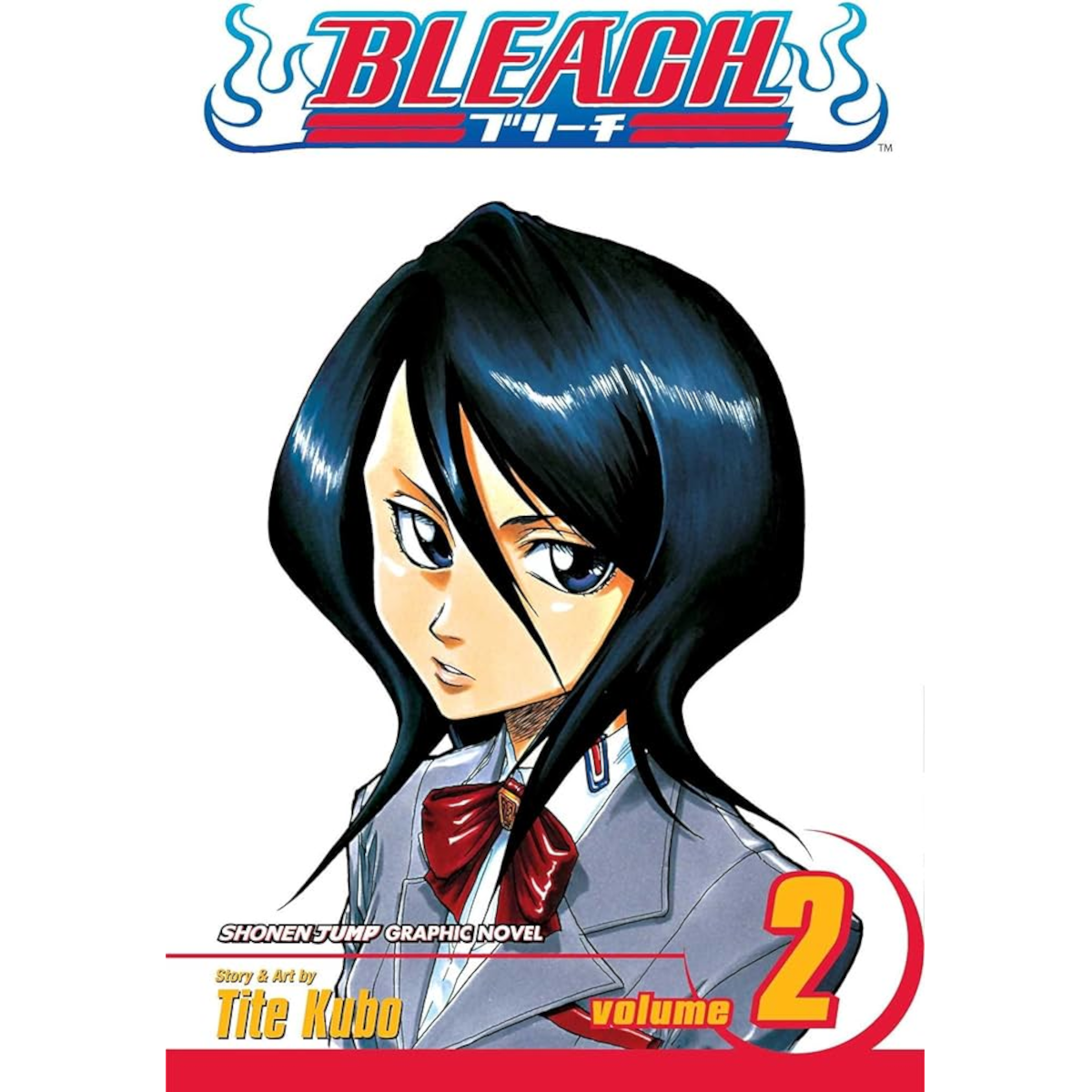 Bleach2